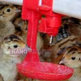 Nipple drinker systems Nipple drinker systems